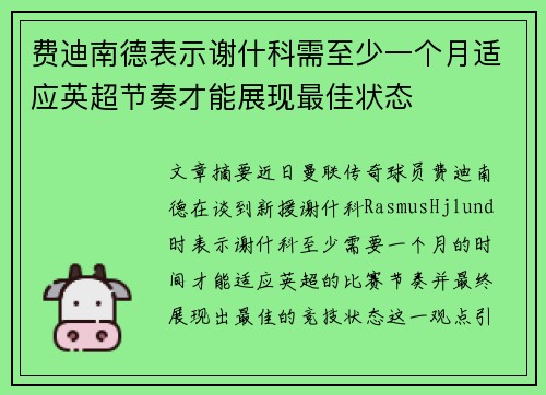 费迪南德表示谢什科需至少一个月适应英超节奏才能展现最佳状态